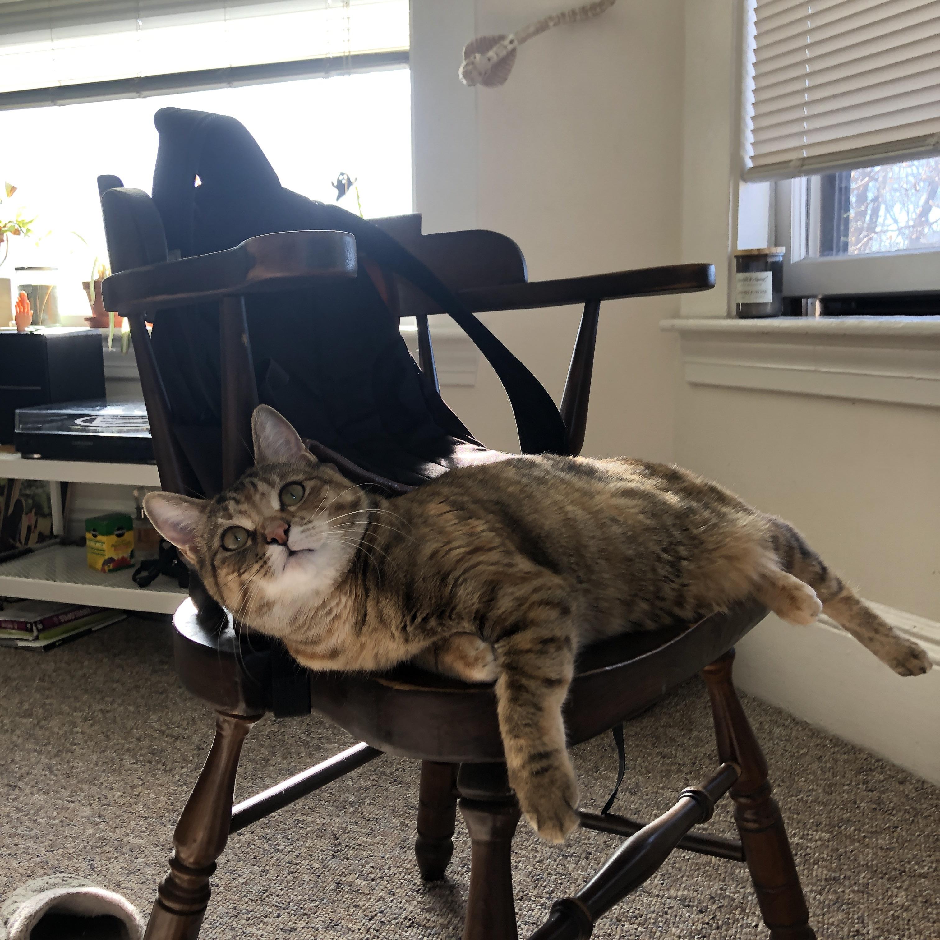 “高速超车：在弯道中破风前行的瞬间”，高速超车道行车规则