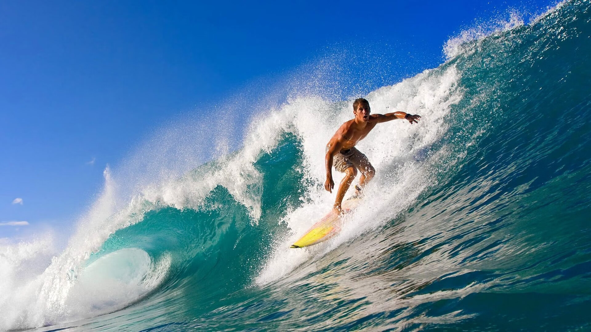 【比赛趋势】本赛季投手和击球队表现比较分析，投球手接杀